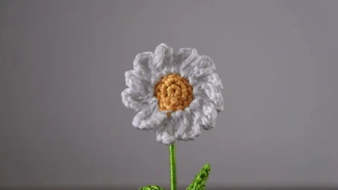 Hand making crochet daisy flower representing nature and craft. 库存影片 336127591