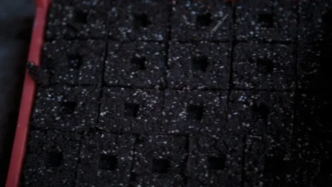 Hand making holes into soil blocks Stock Footage 94884073