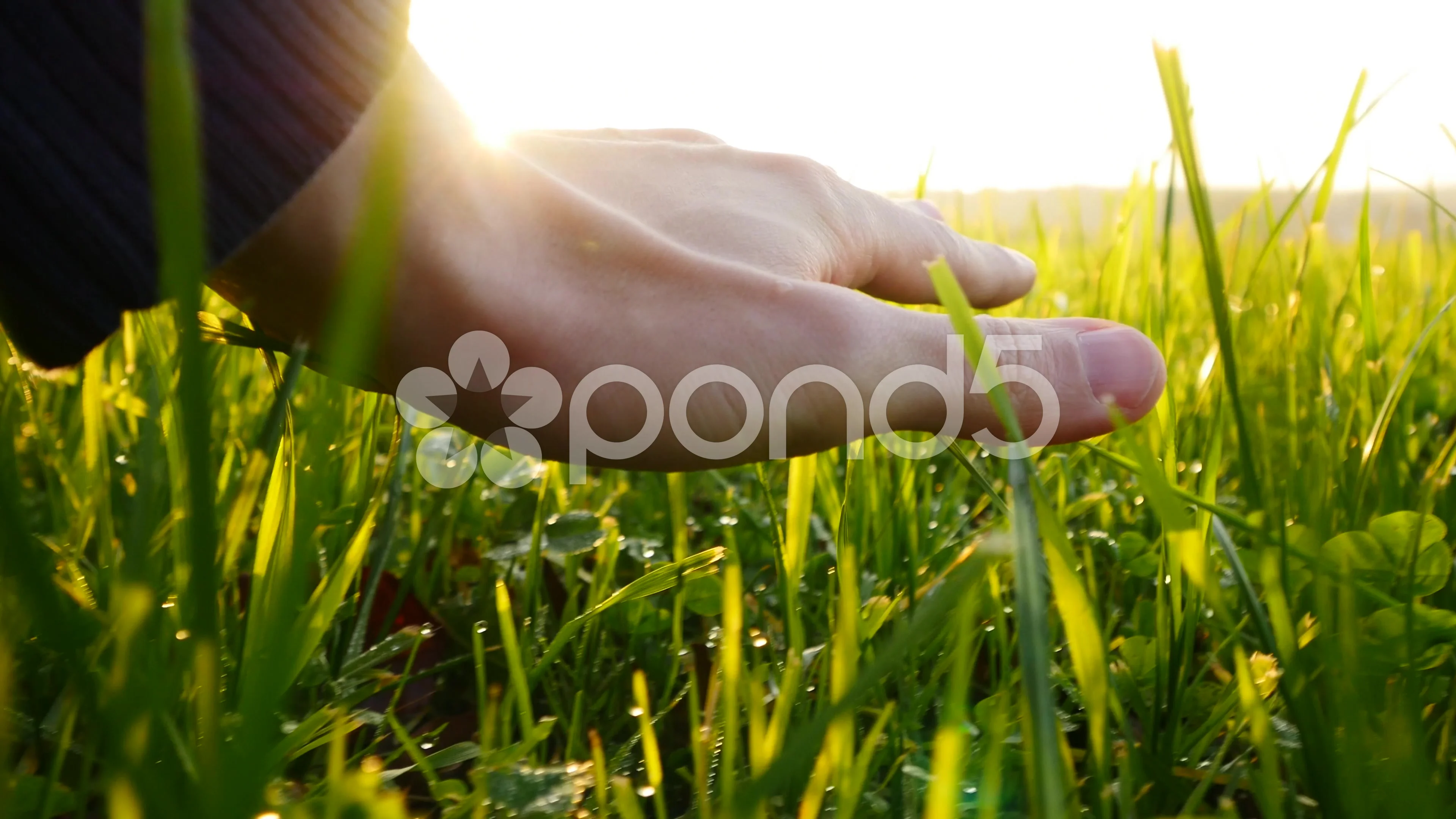 Person touching grass in the daytime