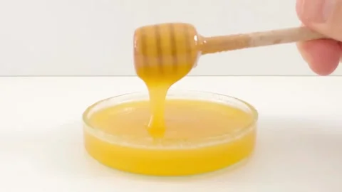 Hand of a man checking and dripping honey with wooden honey dipper Stock Footage 282085308