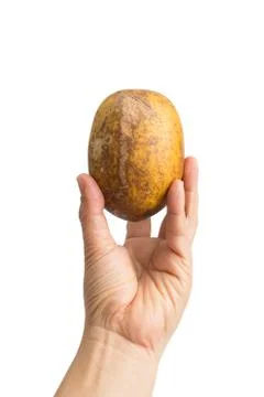 Hand of man holding bale fruit isolated on white background Stock Photos