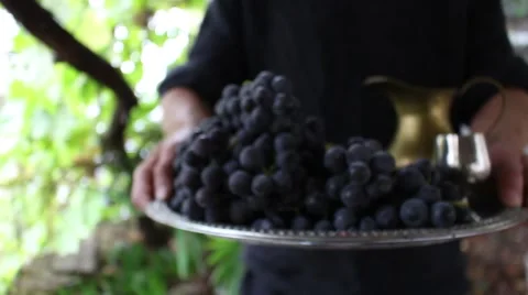 Hand Of The Man With A Jug Of Wine and Grapes On A Salver. Vídeo Stock 55824853