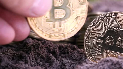 Hand of man put bitcoin coin on grand Stock Footage 104395220