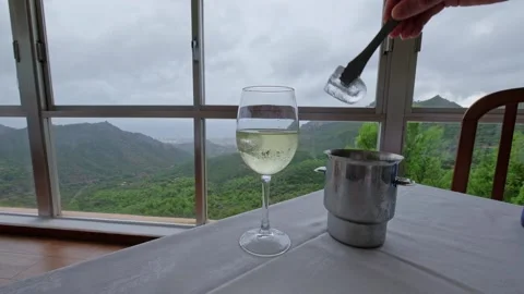 Hand of a man putting an ice in a white wine on a table at a restaurant. Stock Footage 219425308