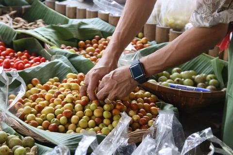 ?Hand of man is selecting Monkey Apples in basket. Stock Photos