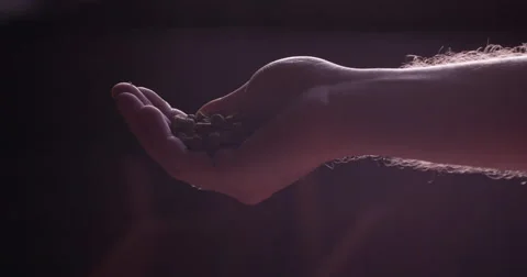 Hand of a man spilling pellets of hops 動画素材 61502686