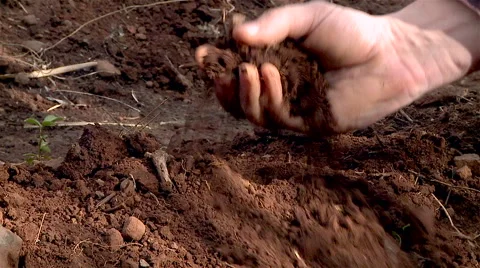 Hand of a man take up soil Stock Footage 62647844