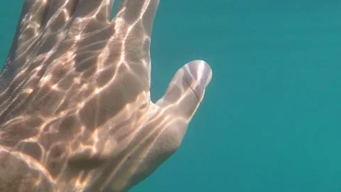 Hand of the man underwater shot Stock Footage 80798497