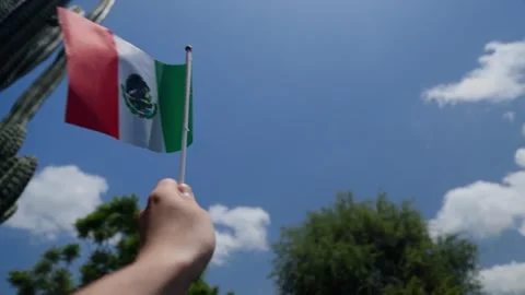 Hand of a man waving a mexican flag 動画素材 344674499