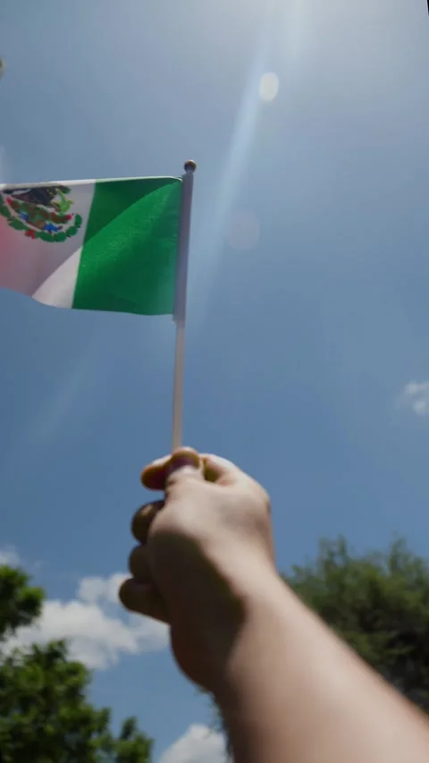 Hand of a man waving a mexican flag 動画素材 344717494