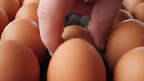 Hand manipulating brown eggs in egg production facility - camera slide. 스톡 동영상 197436788
