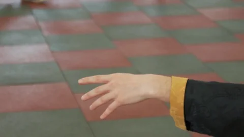 Hand of the master Wushu. Closeup. Stock Footage 75244260