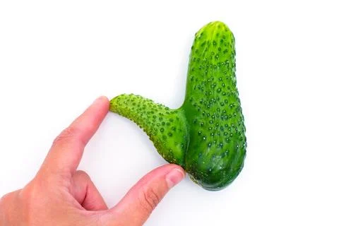 Hand Measuring Phallic Deformation of an Abnormal Cucumber Stock-Fotos