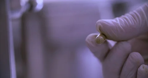 Hand in medical gloves holding testing produced Pill Macro shot close up view Stock Footage 97057563