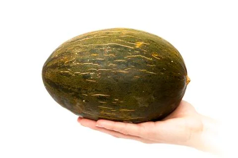 Hand with a melon Stock Photos