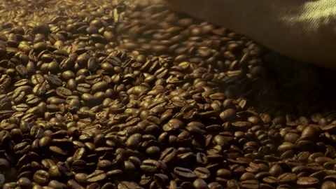 A hand in a mitten smooths and pours coffee beans. Stock Footage 168312897
