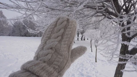 Hand in mitten touches snow on tree branches Stock Footage 101017306