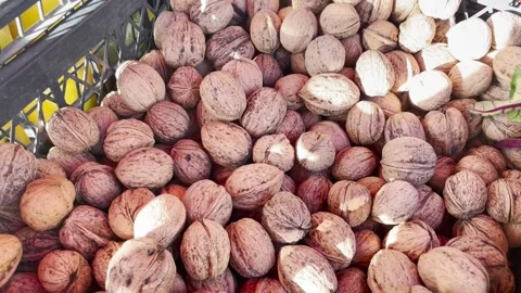 A hand mixes fresh walnuts 스톡 동영상 220614008