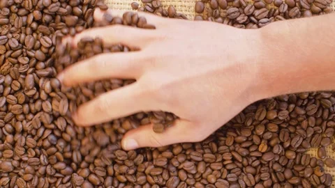 Hand mixing roasted coffee beans Stock Footage 137026999