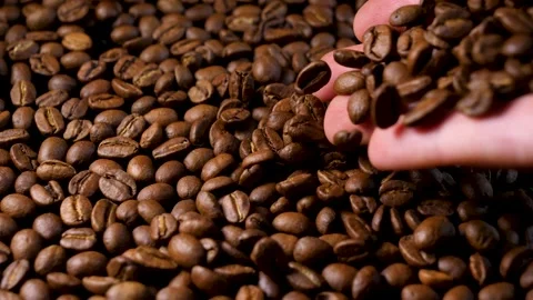 Hand mixing roasted coffee beans. Slow motion of arabica coffee seeds. Stock Footage 154206426