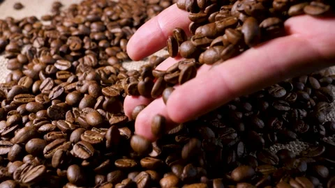 Hand mixing roasted coffee beans. Slow motion of arabica coffee seeds. Stock Footage 154207009