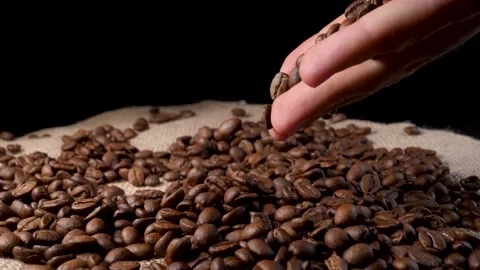 Hand mixing roasted coffee beans. Slow motion of arabica coffee seeds. Video stock 154207484