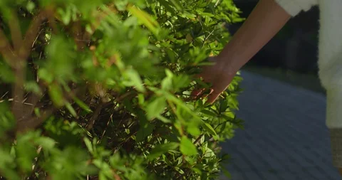 Hand model walking in park Stock Footage 124174820