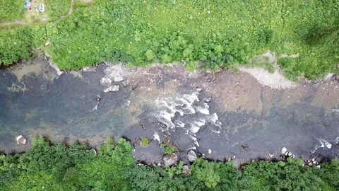 Hand in mountain forest 스톡 동영상 113077051