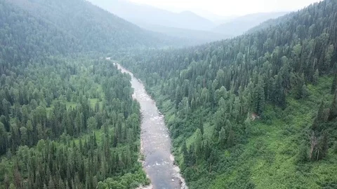 Hand in mountain forest 스톡 동영상 113077054