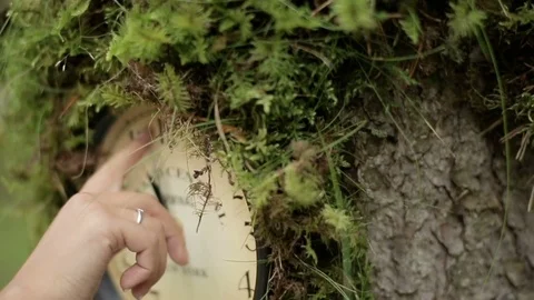 Hand Moves The Clock Arrow Stock-Footage 74699796