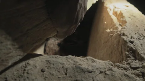 Hand moving heavy stone slab revealing ancient tomb Stock Footage 336752940