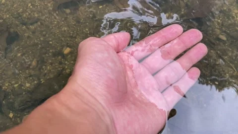 Hand moving slowly on water surface and taking fresh water from small pond Stock Footage 280044805