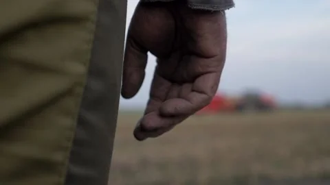 Hand in the mud ahead of the combine Stock Footage 141798399