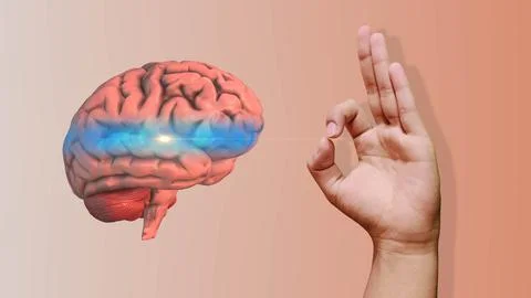 Hand Mudra to Enhance Brain Function Stock Illustration