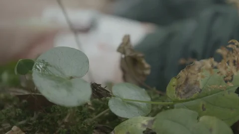 Hand with needle in vein close up Video stock 99790216
