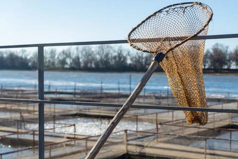 A hand net for scooping fish in fish farm Stock Photos