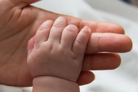 Hand newborn Stock Photos