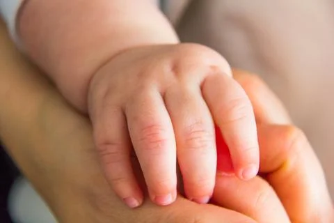Hand newborn Stock Photos