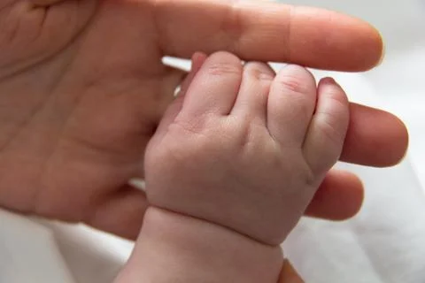 Hand newborn Stock Photos