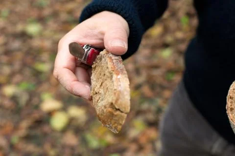 Hand offering a slice of fresh bread Stock Photos