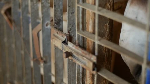 Hand open door slo-mo Stock-Footage 119616318