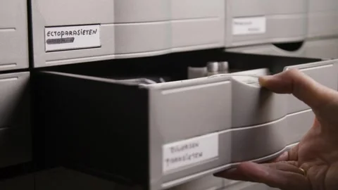 Hand Opening Parasite Storage Drawer 스톡 동영상 310599879