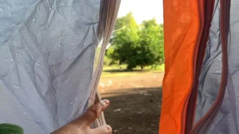 Hand opens tent from the inside and sees a chicken in the green yard Stock Footage 148206285