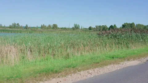 Hand out of a car window. Stock Footage 320711424