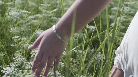 Hand over grass Stock Footage