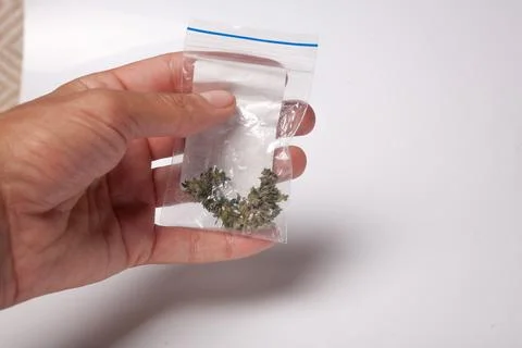 Hand with pack of marijuana Stock Photos