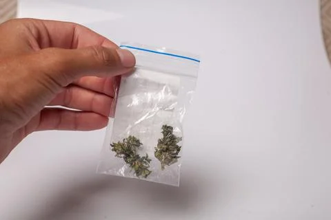 Hand with pack of marijuana Stock Photos