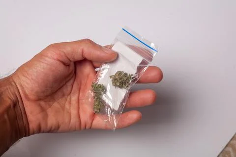 Hand with pack of marijuana Stock Photos