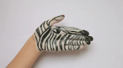 Hand Paint Zebra Stock Footage