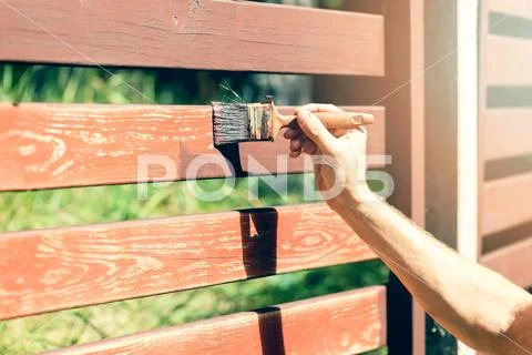Hand with paintbrush painting wooden fence with brown paint Stock Photos